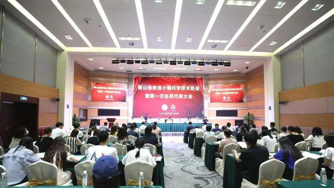 凝聚科技力量、打破西方垄断：杭州湾信息港科学技术协会正式成立
