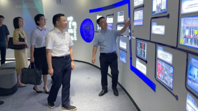 嘉兴市政府副市长倪沪平一行莅临K8·凯发科技考察调研